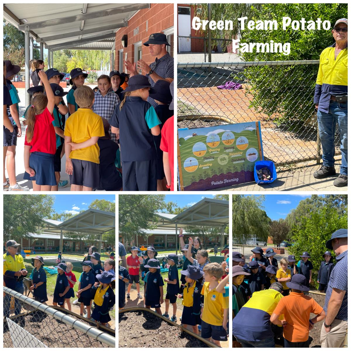 Photos & Videos Green Team Potato Farming T1 2021